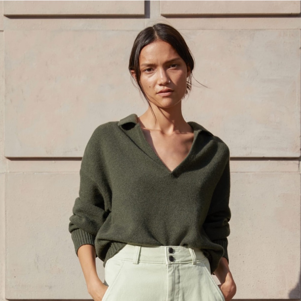 Everlane cashmere polo